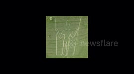 The Long Man of Wilmington, East Sussex gets a strim by volunteers so it is still visible for miles around