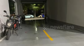 Slippery floors send doggos on an adventure in Anhui province car garage