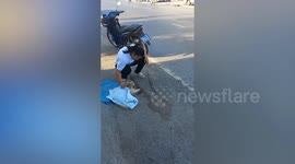 Compassionate motorcycle rider rescues stray cat hit by car