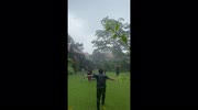 temp