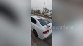 Comfortable cat sleeps on roof of parked car
