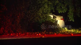 Motorist in Critical Condition after Colliding with a Tree in Orange Grove