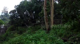 The Storm's Resonance: A Symphony of Thunder