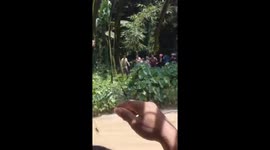 Terrifying Incident: Mother and Child Attacked by Crocodile While Washing Clothes in Labura, North Sumatra, Indonesia