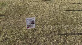 World Wide Rally for Freedom, Sydney, Australia