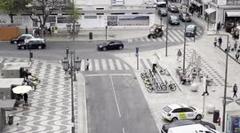 Life-like tiger on golf caddy roof scares tourists in Portugal
