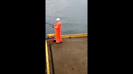 Crazy fish...i catch a lot of makerels