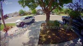 Dollar General employee hits thief