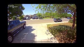 Dollar General employee hits thief 2 of 3