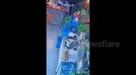 Fish jumps right into porridge pot from aquarium