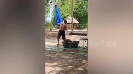 Doting pet owner opens large umbrella over dog's makeshift swimming tub for resort effect