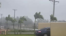 Typhoon Mawar hits Guam: Trees oscillate due to strong wind