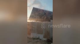 Pet dog sitting on roof confuses passing driver as it watches sunset on top