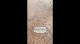 Texas woman goes 'Earthworm-Hunting' following heavy rain