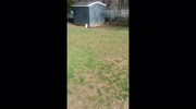 temp