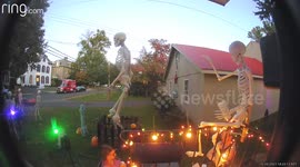 Dog Pulls Woman Out of Chair