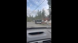Tahoe bear rummaging through trailer