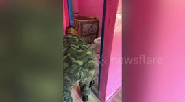 Scared soldier pokes gecko with broom before fleeing as it runs to them
