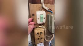 Light switch swarming with ants makes frying noise when turned on