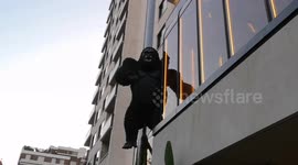 Chelsea in Bloom event in London shows of some amazing King Kong inspired flower creations