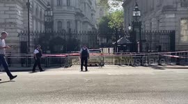 Car crashed into gates of Downing Street