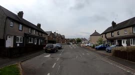 Cat Understands His Instructions