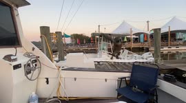 Gary the Goose's Morning Routine