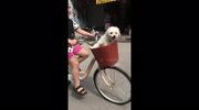 temp