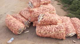 Here's why these Indian farmers are abandoning their produce on roads