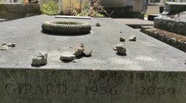 Death in 2039 ?!: an elected official from Paris inscribed on his grave the future year of his death. In the Montparnasse cemetery, in Paris, there is a tomb where the date of death of the deceased is... 2039! The owner of the cellar, the elected Christop