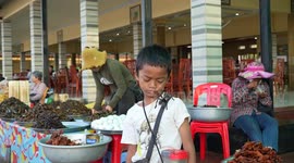 Boy shows off his huge pet TARANTULA at remote market where locals EAT the delicacy