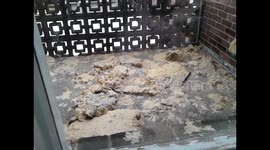 What was left after the 14th Jan 16 Sydney storm