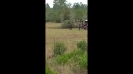 Best gun shot acting