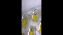 The sweet-tooth-tingling Piña Colada chocolates will put you in vacation mood!