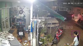 Cat jumps at girl cooking stir fry outside in pan outside house