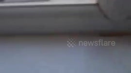 Footage shows two thieves stealing roughly £10,000 worth of vape pens and cigarettes