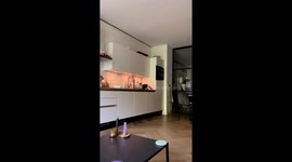 Playful parrot: Freek's Coca-Cola serenade demands attention!