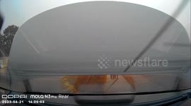 Flying metal sheet almost hits German driver loading shopping back of her car