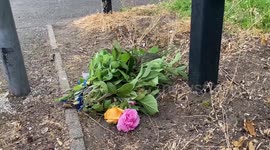 Police launch investigation after four-year-old boy is run over and killed by car