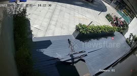 Terrifying moment live alligator falls from high-rise building in China