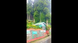 Travel video, when i visited in India last year. Lamahatta eco park,Darjilling, west Bengal, India. 