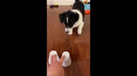 Fool Me Once, Fool Me Again, You’re a Purple Button