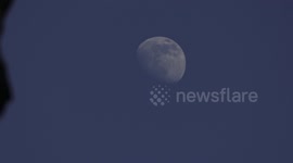 Photobomb ! Shooting Moon , Majestic Alpine Ibex appears , sits in front of the Moon, looks at a passing distant plane. Zen. 4K