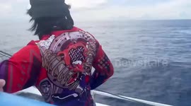 Delighted fishermen cheer when pod of orcas leap next to their boat in the Philippines