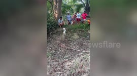 Friendly villagers cheer for tiny dog to climb uphill trail