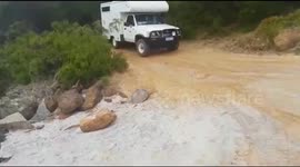 MEET the travelling couple who left The Netherlands to enjoy life on the road in Australia from the comfort of their refurbished 4x4.