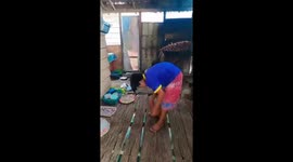 Captivating discovery: stunning schools of fish thrive beneath coastal house