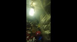 Red tailed colorful Betta fish of my aquarium is so attractive.