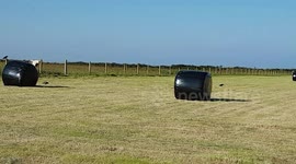 Make hay while the sun shines, yesterday this was a grassy pasture but the Farmers are hard at it making hay .
