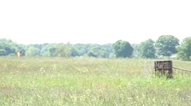 Eccentric engineer beats speed record after reaching 55mph - in a wheelie bin